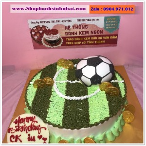 Bánh Sinh Nhật Bóng Đá - SU07